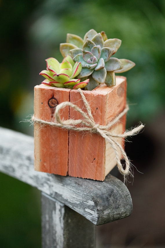 Etsy находки: деревянные садовые коробочки