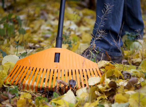 7 полезных идей, что делать с опавшими листьями