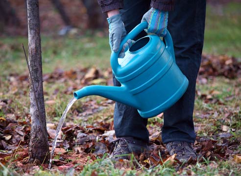 8 основных правил полива сада осенью