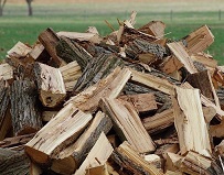 Какими дровами лучше топить дом