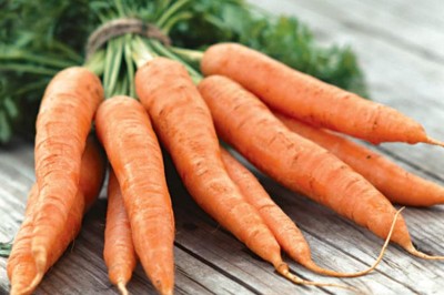 Морковь: сорта, уход, подкормка