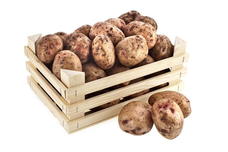 Особенности хранения картофеля в квартире или погребе