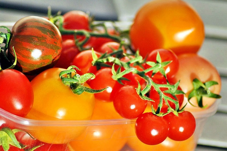Как заготовить семена томатов?